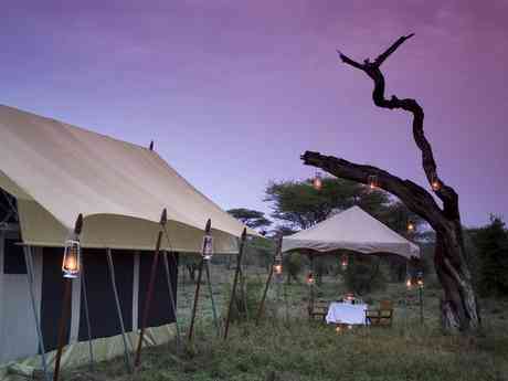 Serengeti Under Canvas